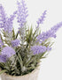 Marks & Spencer "Artificial Lavender Plant in Resin Wicker Pot"